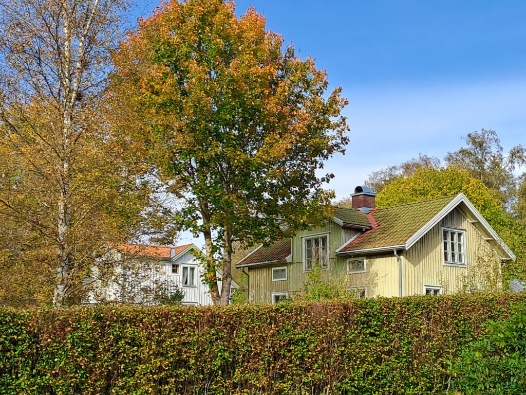 House Viola ferienhaus Bodafors region Smaland. Zwei hauser. Fur 14 gaste. Holmåkra Rosendala Dammgatan Angeln Radfahren Wandern Tennis
