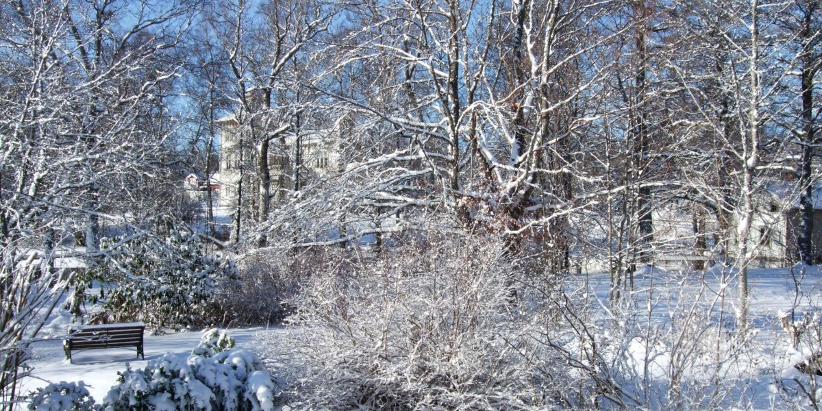 264-surrounds-dammen-winter-DSCF5062-scaled.jpg
